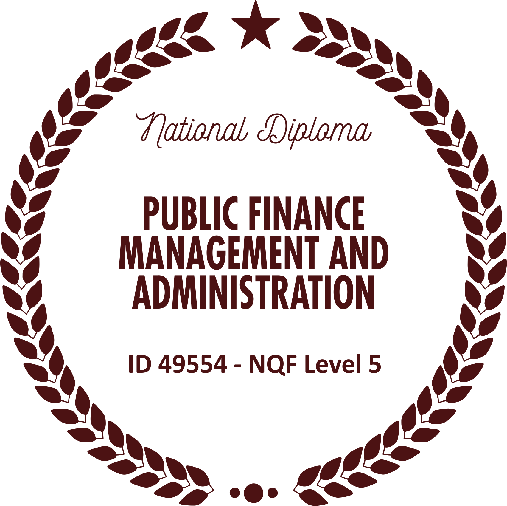 national-diploma-public-finance-management-and-administration-nqf